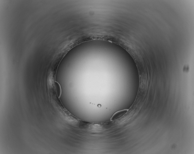 X0000090970287200708161842