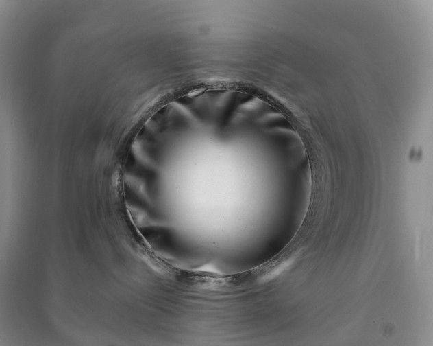 X0000090970288200708161842