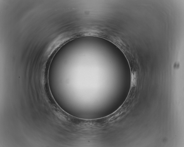 X0000090970291200708161841