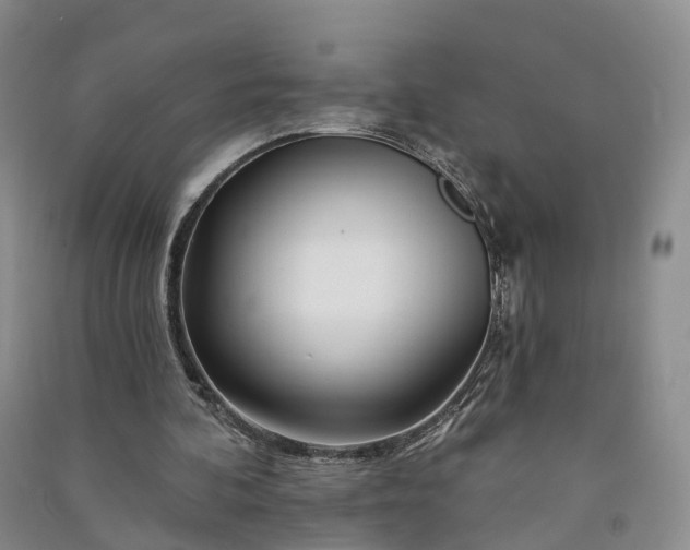 X0000090970292200708161841