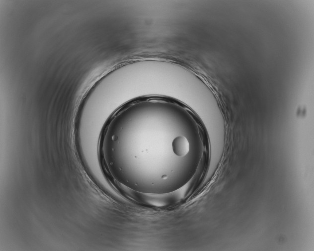 X0000090970293200708161841