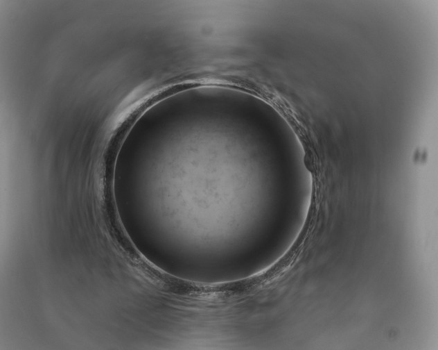 X0000090970295200708161841