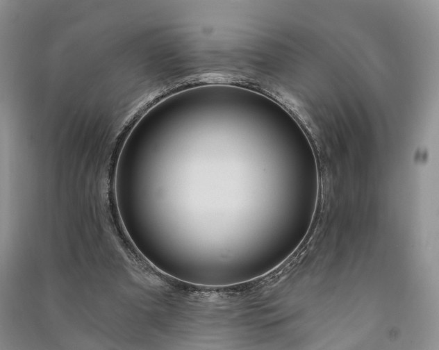 X0000090970297200708161841