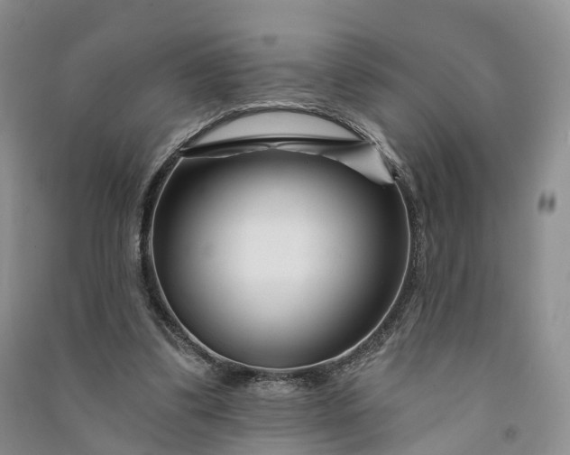 X0000090970299200708161841