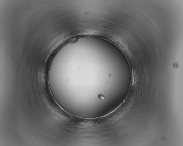 X0000090970300200708161841