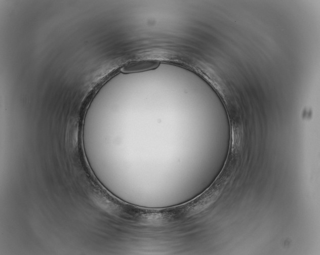 X0000090970301200708161841