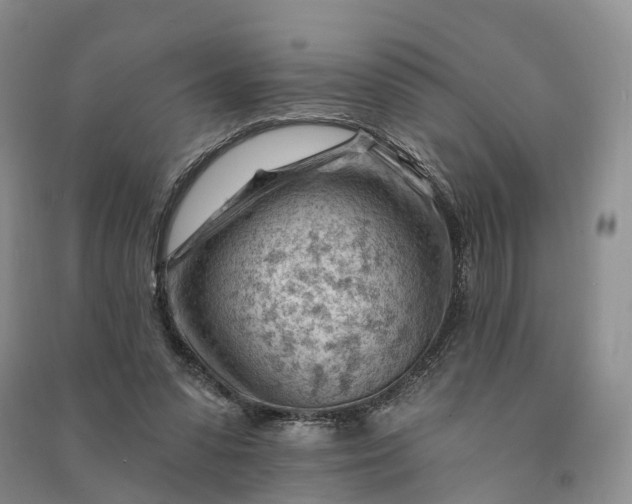 X0000090970303200708161841