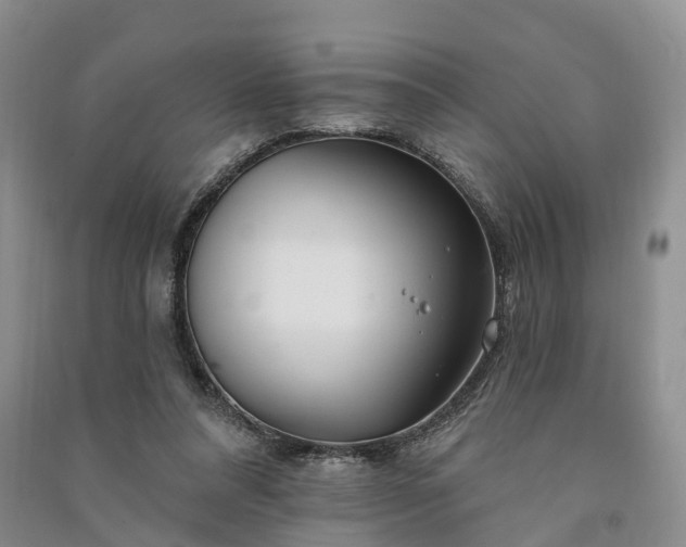 X0000090970304200708161841