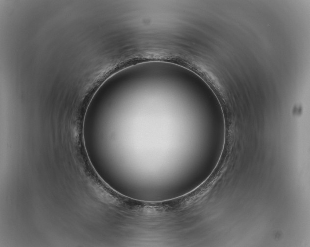 X0000090970305200708161841