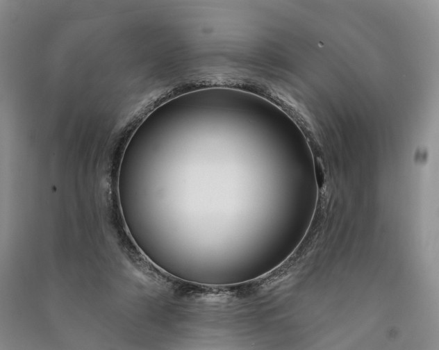 X0000090970306200708161841