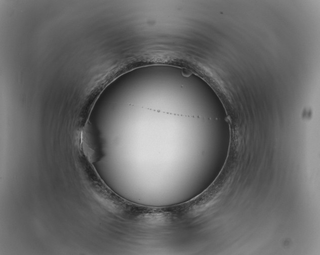 X0000090970307200708161841