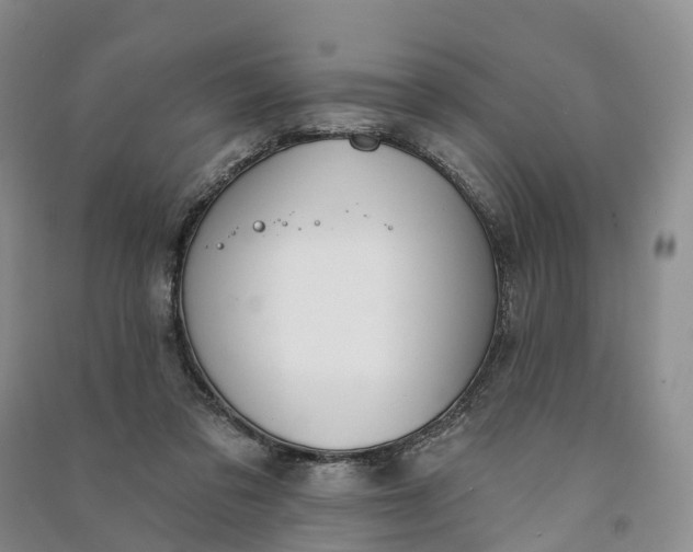 X0000090970309200708161841