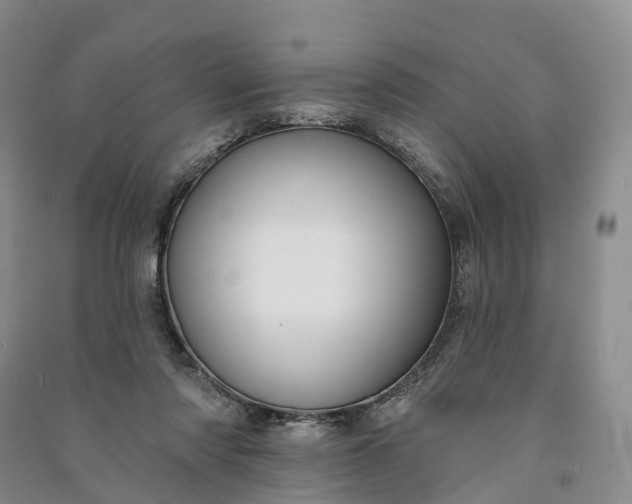 X0000090970310200708161841