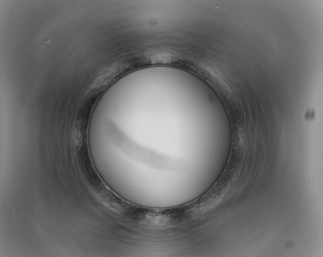 X0000090970311200708161841