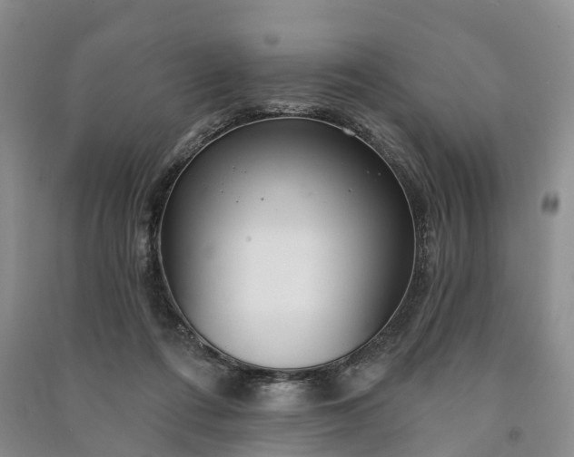 X0000090970312200708161841