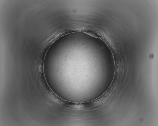 X0000090970313200708161841