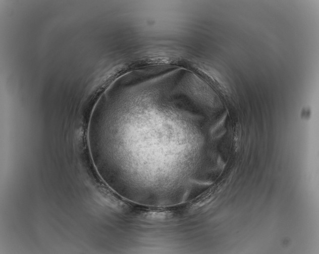 X0000090970314200708161841