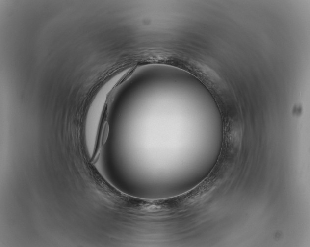 X0000090970315200708161841