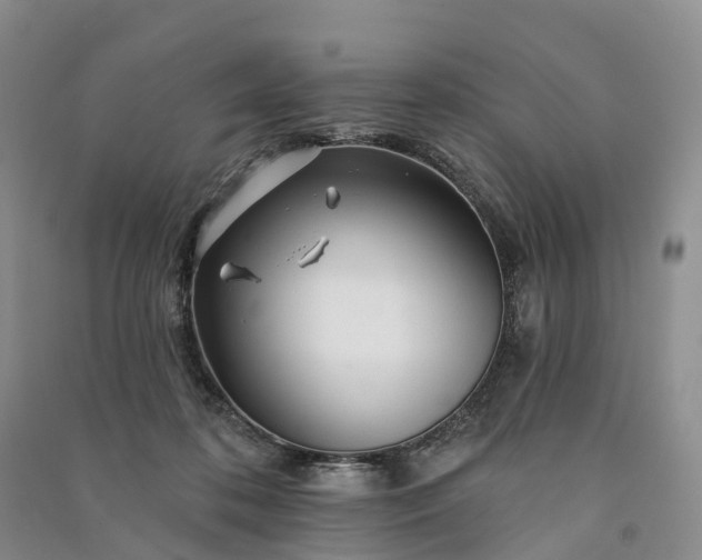 X0000090970316200708161841