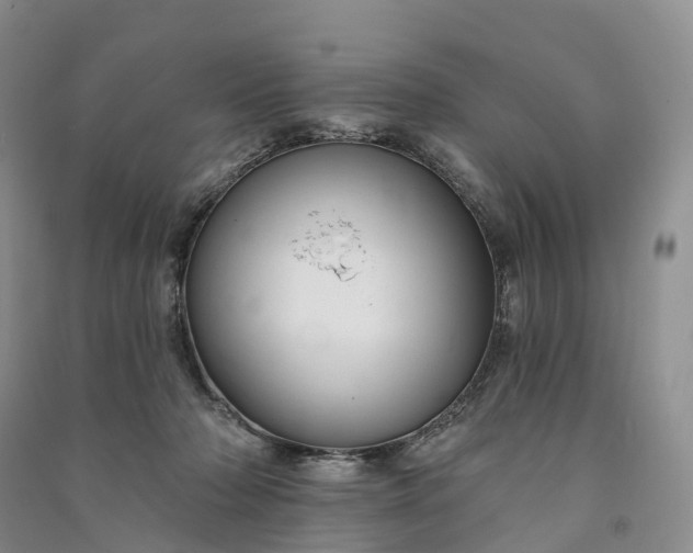 X0000090970318200708161841