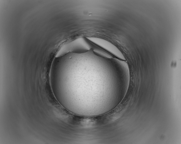 X0000090970319200708161841