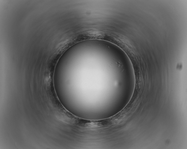 X0000090970320200708161841