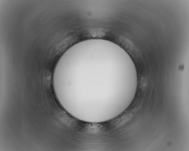 X0000090970321200708161841