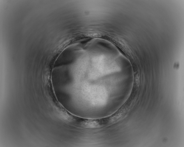 X0000090970322200708161841