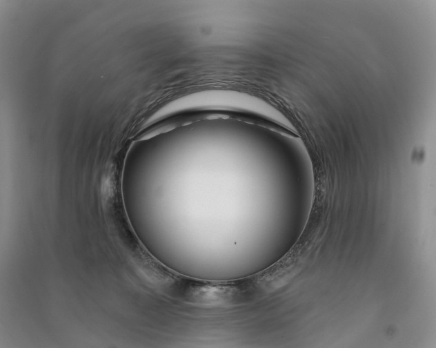 X0000090970323200708161841