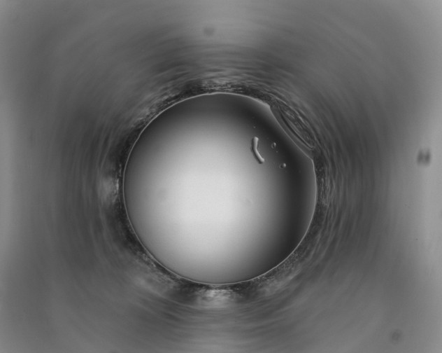 X0000090970324200708161841