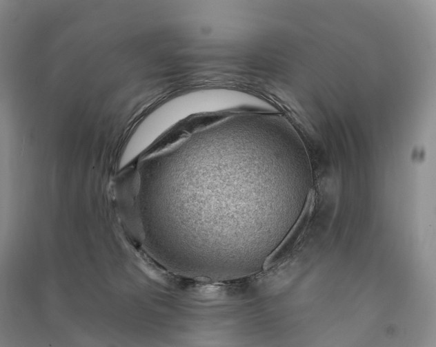 X0000090970325200708161841