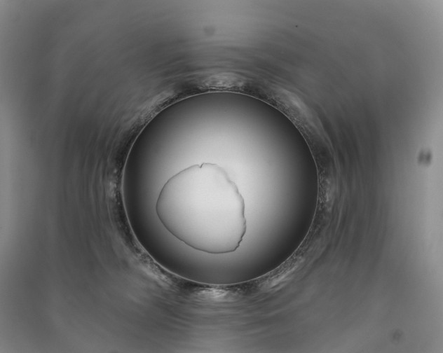 X0000090970326200708161841