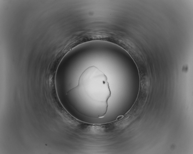 X0000090970327200708161841