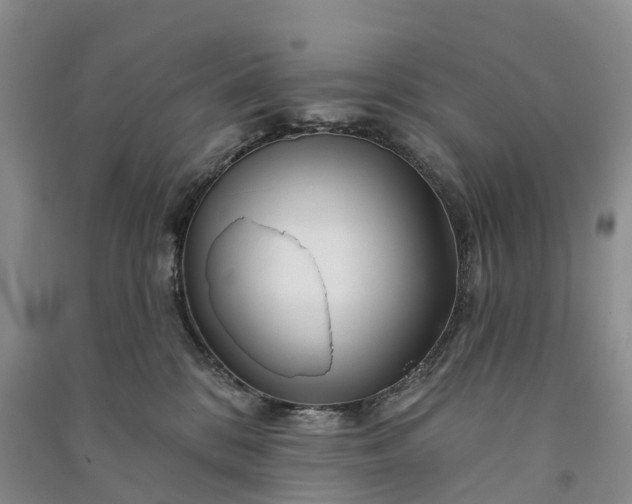 X0000090970328200708161841