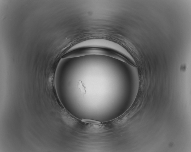 X0000090970329200708161841