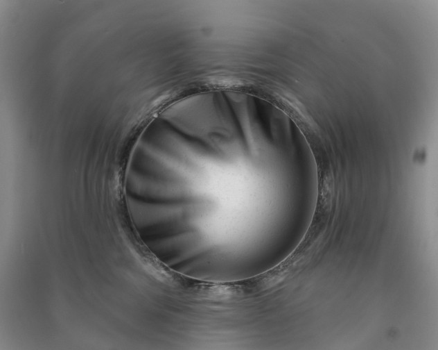 X0000090970330200708161841