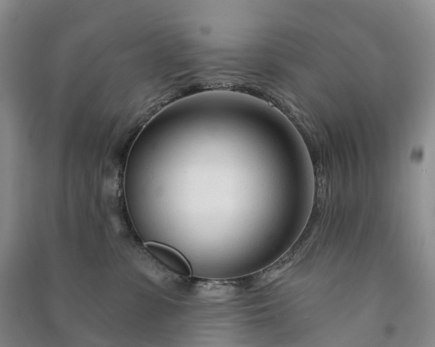 X0000090970331200708161841