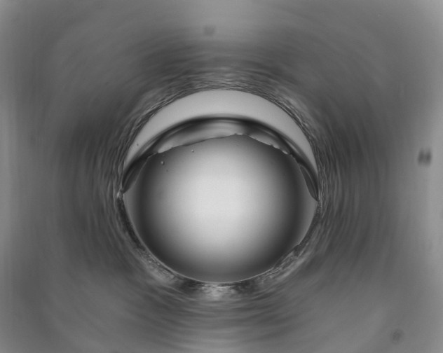 X0000090970333200708161840