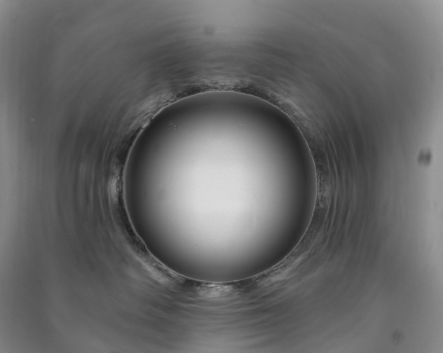 X0000090970334200708161840