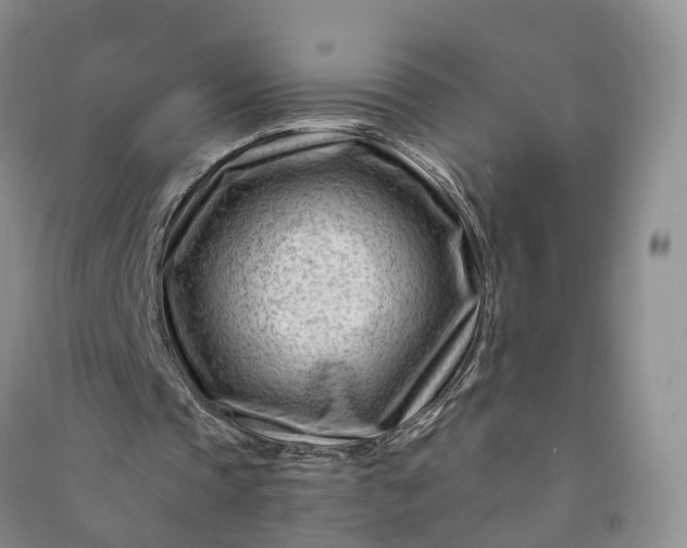 X0000090970337200708161840