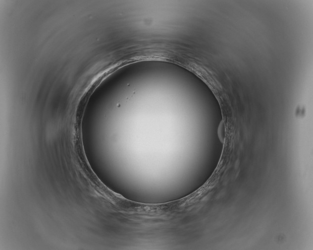 X0000090970338200708161840