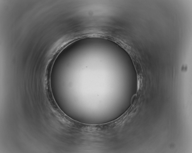 X0000090970339200708161840