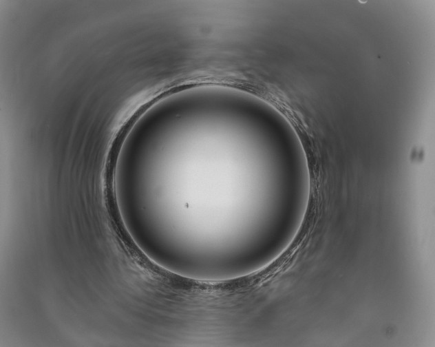 X0000090970340200708161840