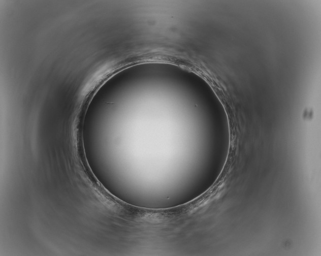 X0000090970341200708161840