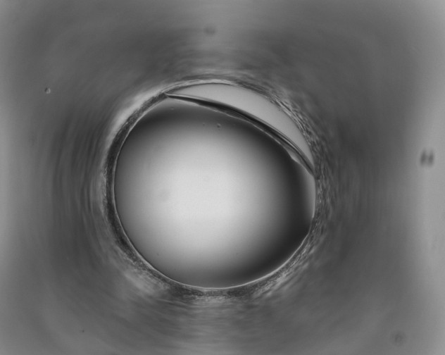 X0000090970342200708161840