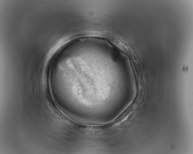 X0000090970343200708161840