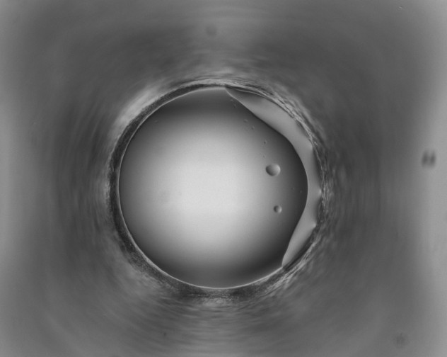 X0000090970344200708161840