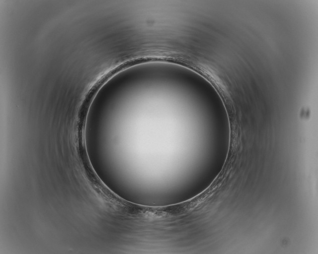 X0000090970346200708161840