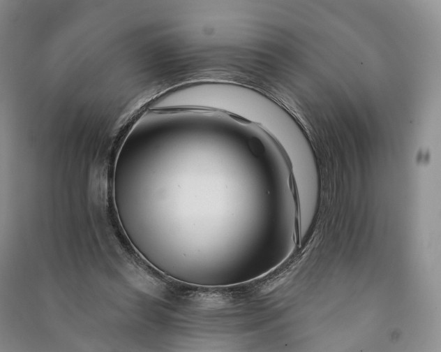 X0000090970349200708161840