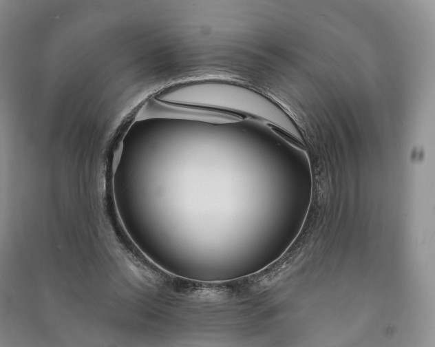 X0000090970350200708161840